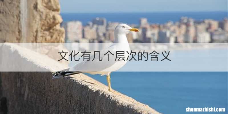 文化有几个层次的含义