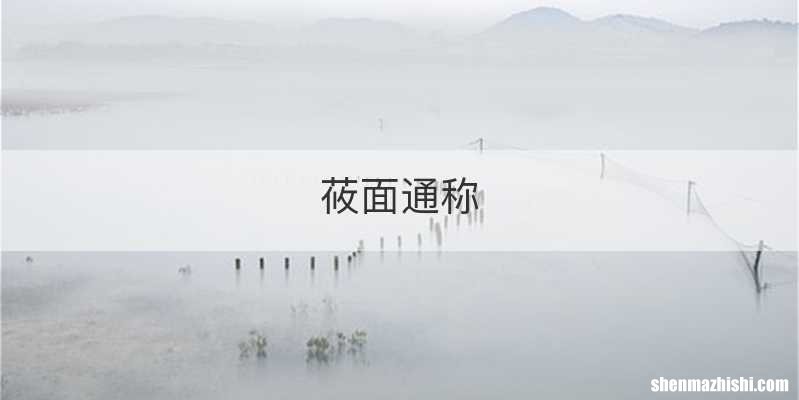 莜面通称