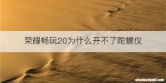 荣耀畅玩20为什么开不了陀螺仪
