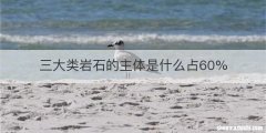 三大类岩石的主体是什么占60%