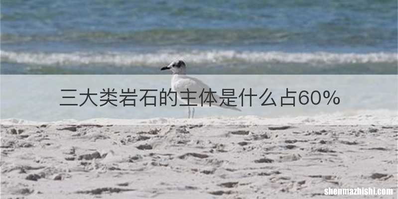 三大类岩石的主体是什么占60%