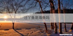汪丫鱼是海鱼吗