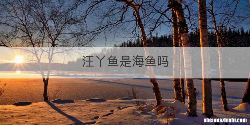 汪丫鱼是海鱼吗