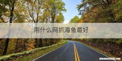 用什么网抓海鱼最好