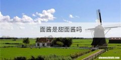 面酱是甜面酱吗