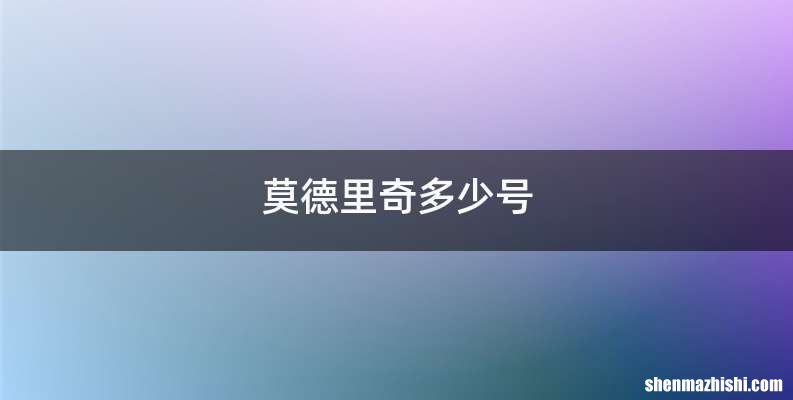 莫德里奇多少号