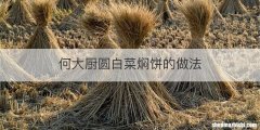 何大厨圆白菜焖饼的做法
