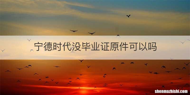 宁德时代没毕业证原件可以吗