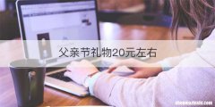 父亲节礼物20元左右