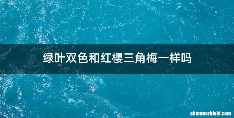 绿叶双色和红樱三角梅一样吗