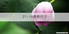 21-18表带尺寸