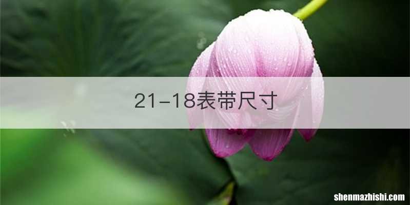 21-18表带尺寸