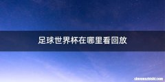 足球世界杯在哪里看回放