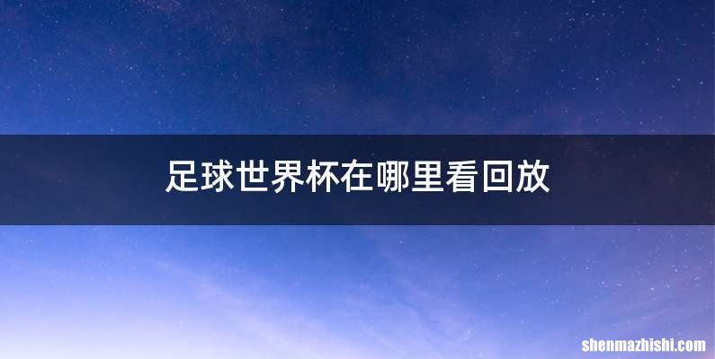 足球世界杯在哪里看回放