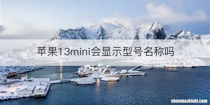 苹果13mini会显示型号名称吗