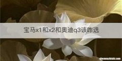 宝马x1和x2和奥迪q3该咋选