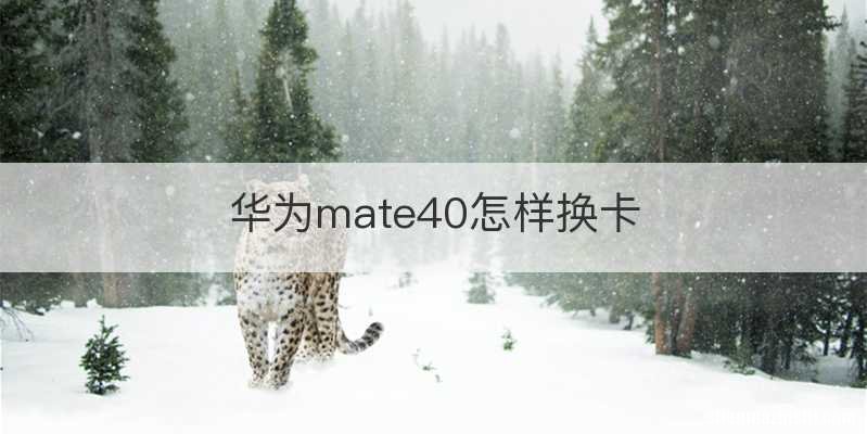 华为mate40怎样换卡