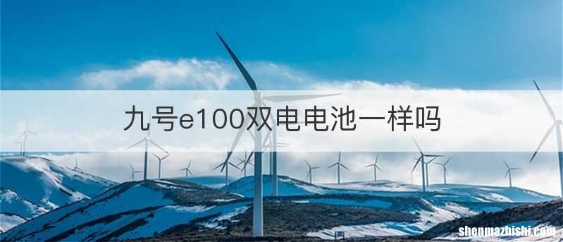 九号e100双电电池一样吗