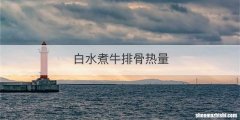 白水煮牛排骨热量