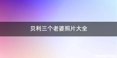 贝利三个老婆照片大全