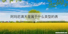 阿玛尼满天星属于什么类型的表