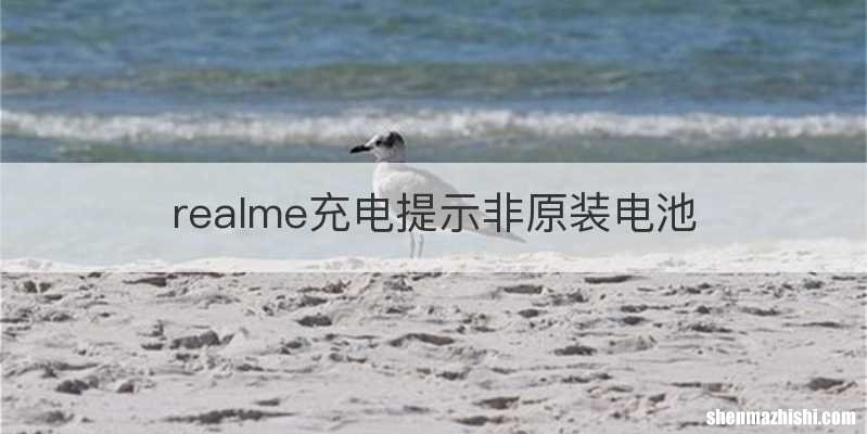 realme充电提示非原装电池