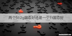 两个512g固态好还是一个1t固态好