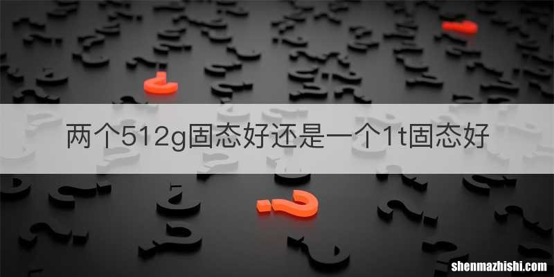 两个512g固态好还是一个1t固态好