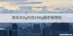 游戏本8g内存256g固态够用吗