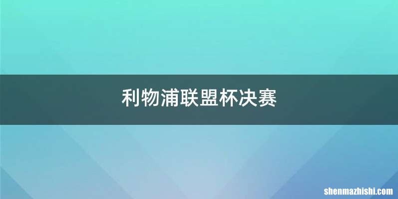 利物浦联盟杯决赛