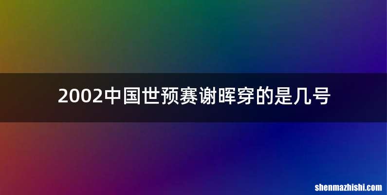 2002中国世预赛谢晖穿的是几号