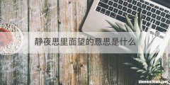 静夜思里面望的意思是什么