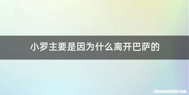 小罗主要是因为什么离开巴萨的