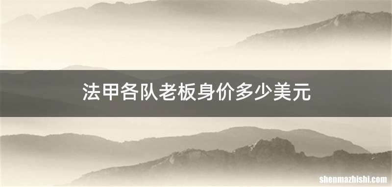 法甲各队老板身价多少美元