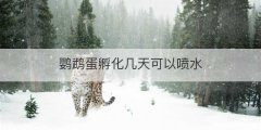 鹦鹉蛋孵化几天可以喷水