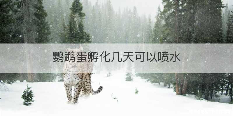 鹦鹉蛋孵化几天可以喷水