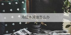 海缸水浑浊怎么办