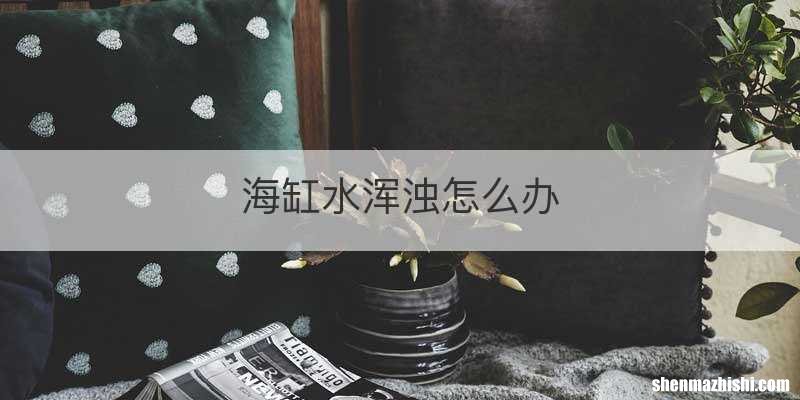 海缸水浑浊怎么办