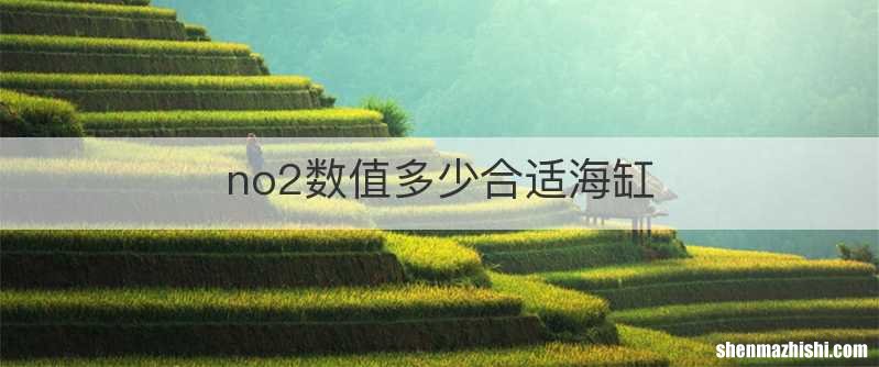 no2数值多少合适海缸