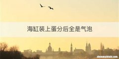 海缸装上蛋分后全是气泡