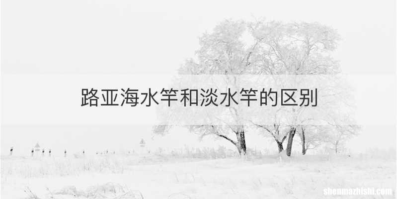 路亚海水竿和淡水竿的区别