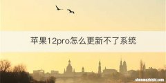 苹果12pro怎么更新不了系统