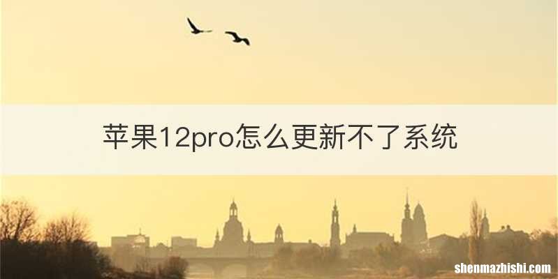 苹果12pro怎么更新不了系统