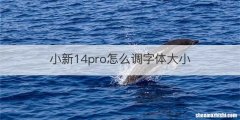 小新14pro怎么调字体大小