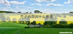 芥子纳须臾什么意思