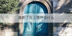 奥斯汀在上海开设什么
