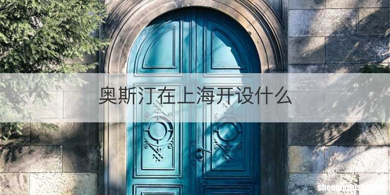 奥斯汀在上海开设什么