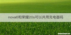 nova6和荣耀20s可以共用充电器吗