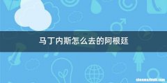 马丁内斯怎么去的阿根廷