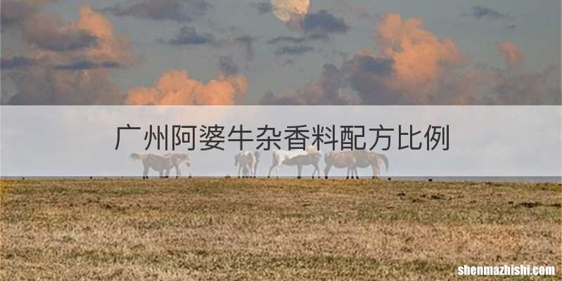 广州阿婆牛杂香料配方比例
